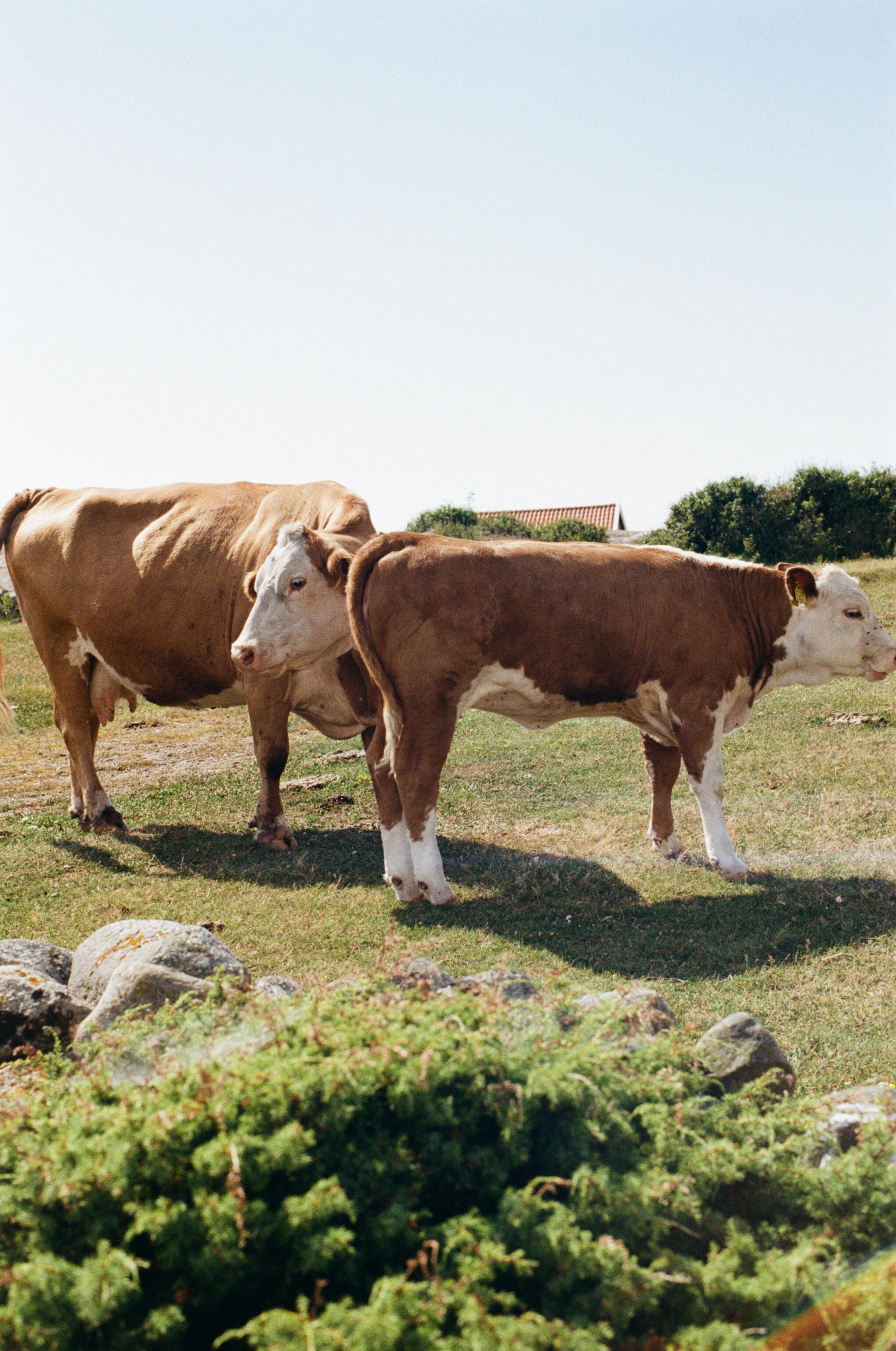 Schweden 2025